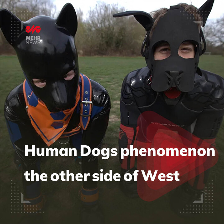 VIDEO: Human Dogs phenomenon shows other side of West