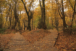 A look into beauties of Iran's Gorgan