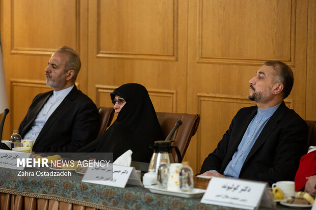 نشست کار گروه شورای عالی ایرانیان خارج از کشور 2