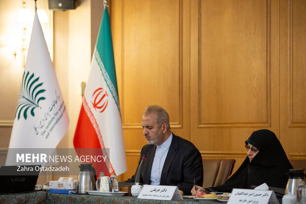 نشست کار گروه شورای عالی ایرانیان خارج از کشور