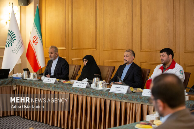 نشست کار گروه شورای عالی ایرانیان خارج از کشور 4