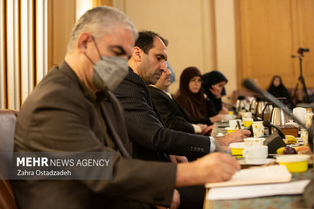 نشست کار گروه شورای عالی ایرانیان خارج از کشور 7