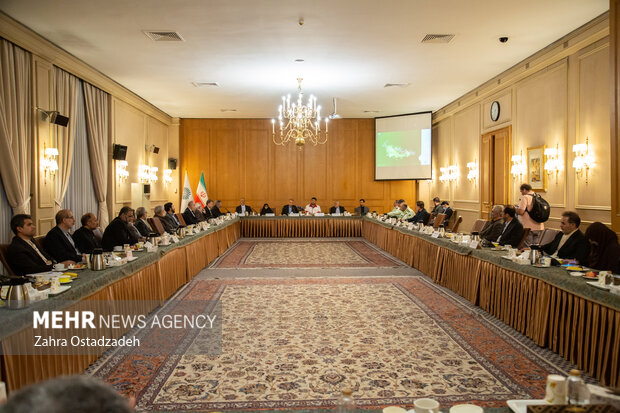نشست کار گروه شورای عالی ایرانیان خارج از کشور 17