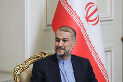 'Iran gov't resolved to expand balanced foreign policy'