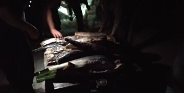 ۶۸ کیلوگرم ماهی غیرمجاز در رزن معدوم‌سازی شد