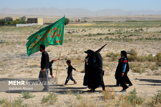 حضور ۱۰ هزار نفر در پیاده‌روی حرم تا حرم «بوانات» فارس