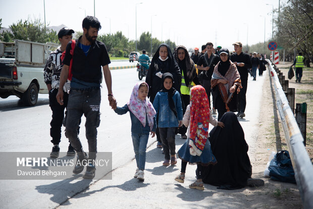 زائران پیاده امام رئوف در مسیر عاشقی