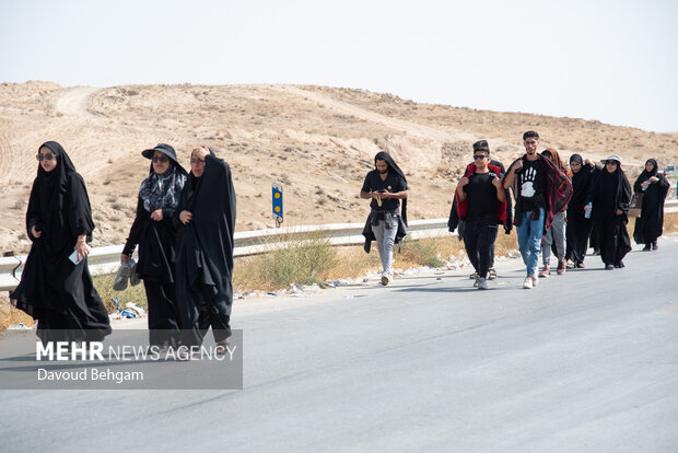 زائران پیاده امام رئوف در مسیر عاشقی