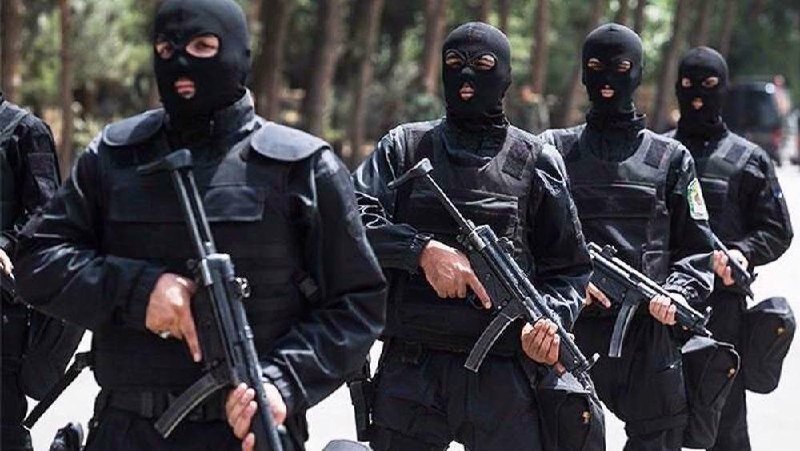 Iran’s security forces