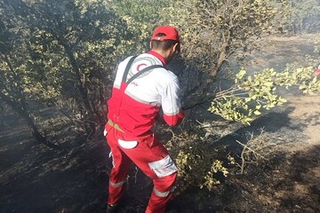 پشتیبانی هلال احمر از نیروهای مردمی در آتش سوزی مراتع هرسین