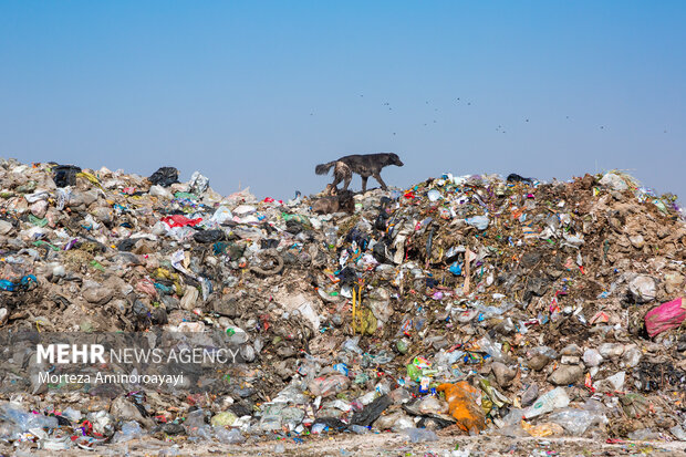 دود سایت زباله دهدشت در چشم مردم/ شهری که سخت نفس میکشد