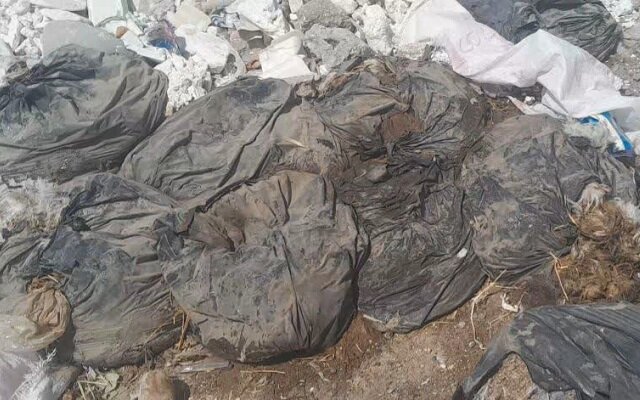 وضعیت بهداشتی تأسفبار در خاش/ اقدام عاجل لازم است+ فیلم