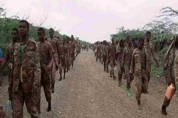 Al-Shabaab militants kill over 160 Ethiopian soldiers