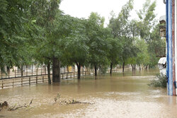 سیلاب به ۷ روستای عباس آباد خسارت زد/ تعطیلی ۲ مدرسه