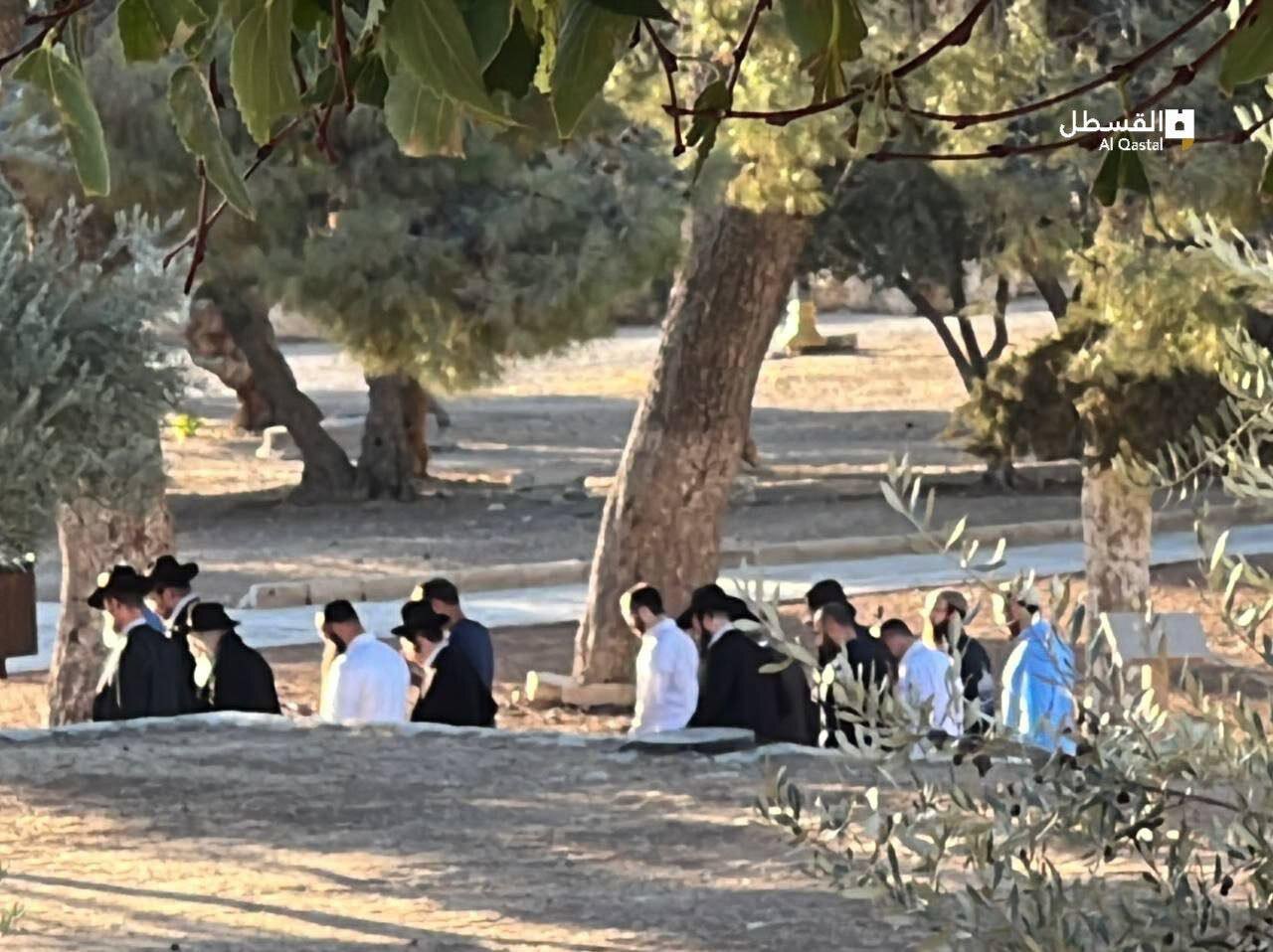 شهرکنشینان صهیونیست به مسجدالاقصی تعرض کردند+ فیلم و تصاویر