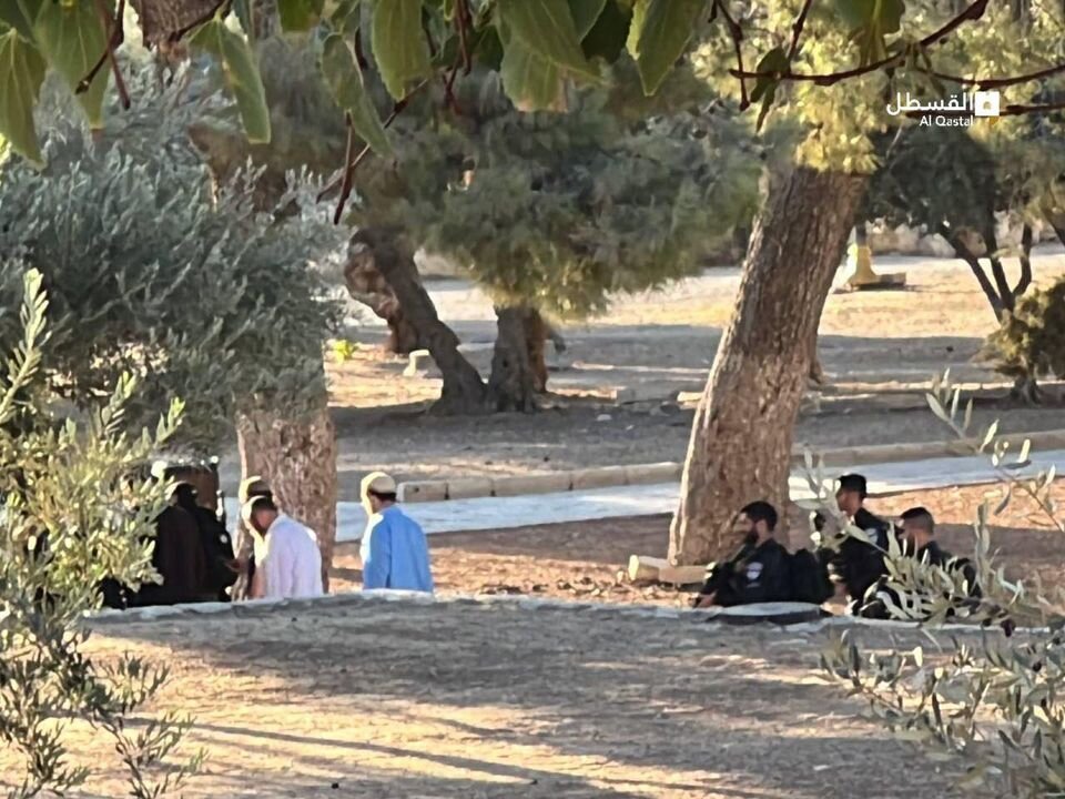 شهرکنشینان صهیونیست به مسجدالاقصی تعرض کردند+ فیلم و تصاویر