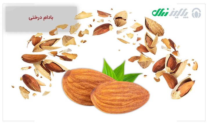 احداث باغ بادام از مرکز تولید کننده نهال بادام در ایران