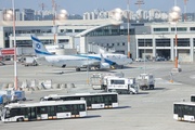 International airways cancel flights to Occupied Palestine