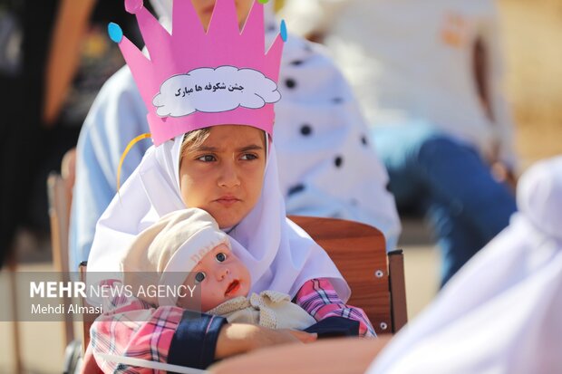 جشن شکوفه ها استان زنجان