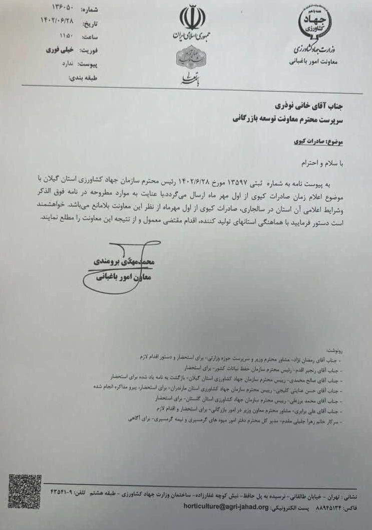 صادرات کیوی از مهر ماه آغاز می شود