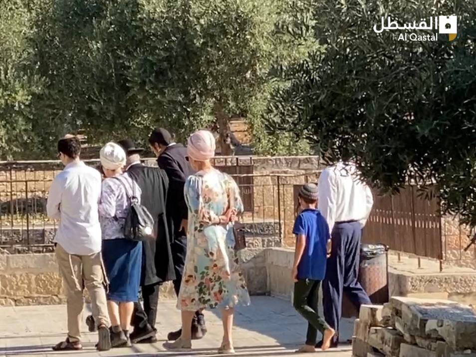 شهرکنشینان صهیونیست به مسجدالاقصی تعرض کردند+ تصاویر