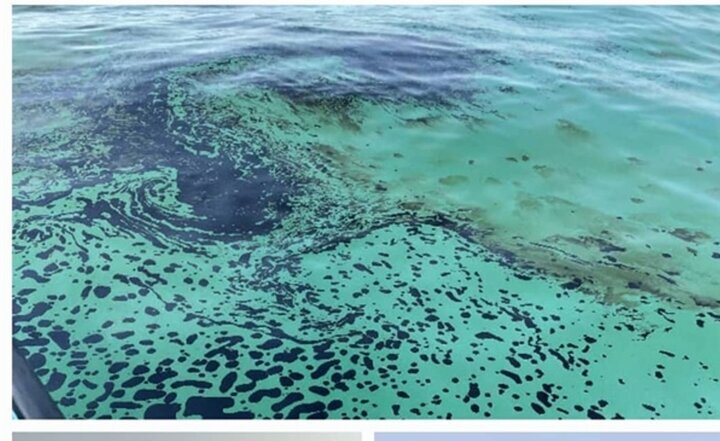عملیات پاک‌سازی آلودگی نفتی در آب‌های گناوه تداوم دارد