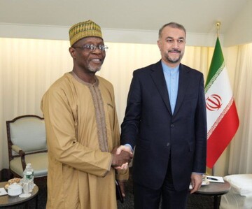 امیرعبداللهیان با وزیر خارجه نیجر دیدار کرد