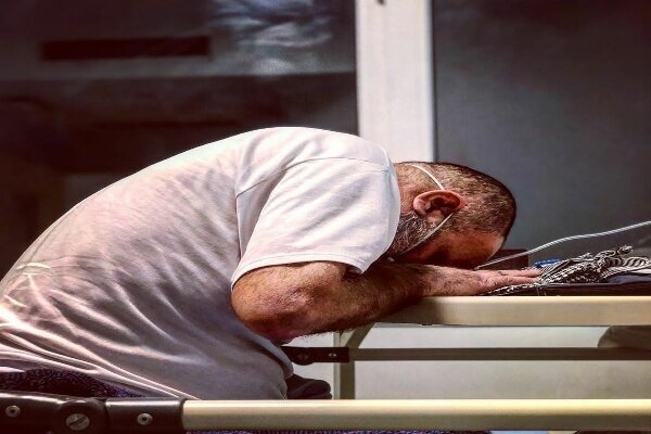 آخرین طلوع سرخ خورشید دهلاویه/ نخل های سربریده روایت می کنند