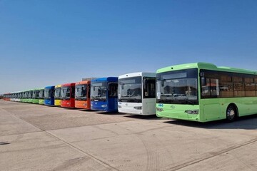 ۱۷ دستگاه اتوبوس ویژه معلولان در شهرکرد راه‌اندازی شد