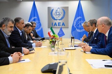 Western states use IAEA as a means to pressurize Iran