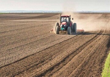 ۸۷۹ هزار هکتار از اراضی خوزستان کشت پاییزه می‌شوند