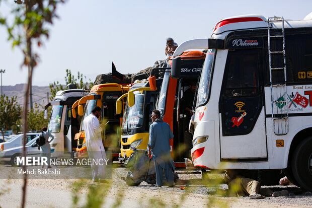 حضور زائران پاکستانی در قم