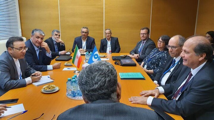 رئيس منظمة الطاقة الذرية الايرانية يلتقي رئيس البعثة البرازيلية الى فيينا