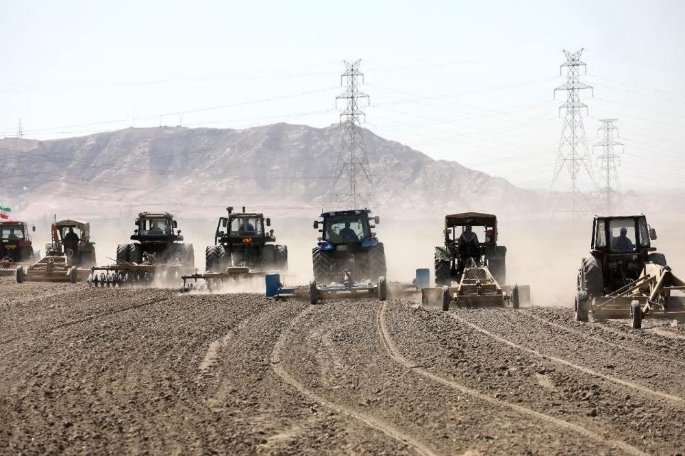 باران کمرمق، سرما بیموقع؛ کشاورزی آذربایجانشرقی در چنبره سالی سخت