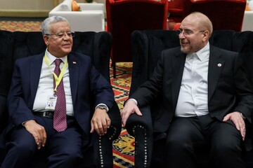 İran ve Mısır meclis başkanları görüştü