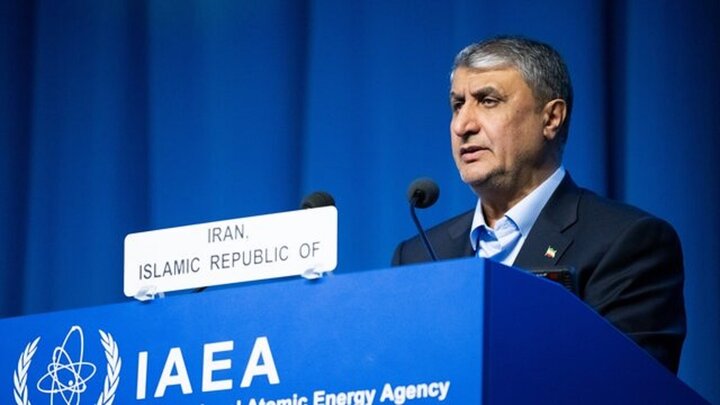 رئيس منظمة الطاقة الذرية: إيران تخضع  اكثر من أى دولة لتفتيش الوكالة الدولية