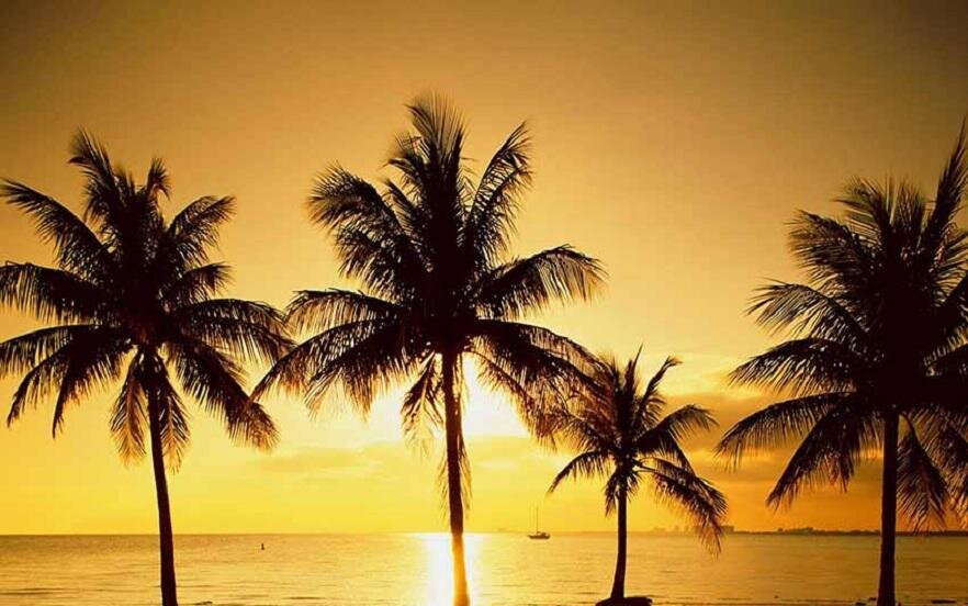 عکس ساحل کیش در شب