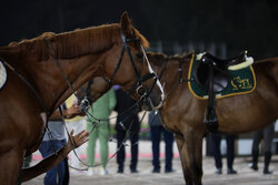 کسب عنوان سوم تیمی کمانگیری بر روی اسب به نام  ایران 