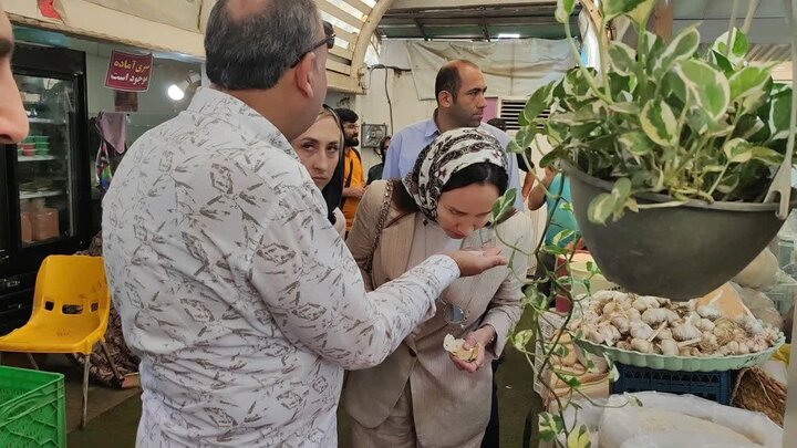 پنجرهای روبه گردشگری خزر/ سفر به سرزمین عجایب بدون ویزا