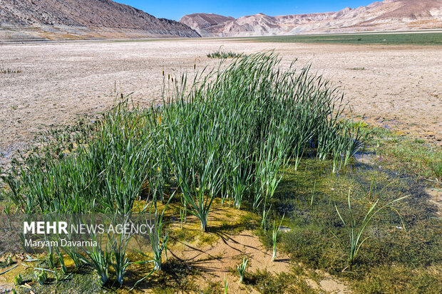 خشک شدن سد بارزو شیروان در خراسان شمالی