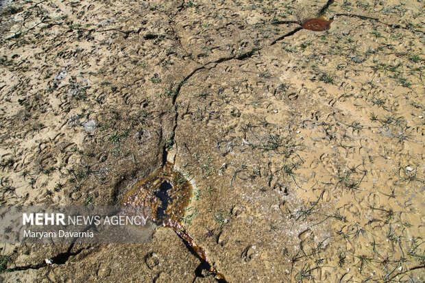 خشک شدن سد بارزو شیروان در خراسان شمالی