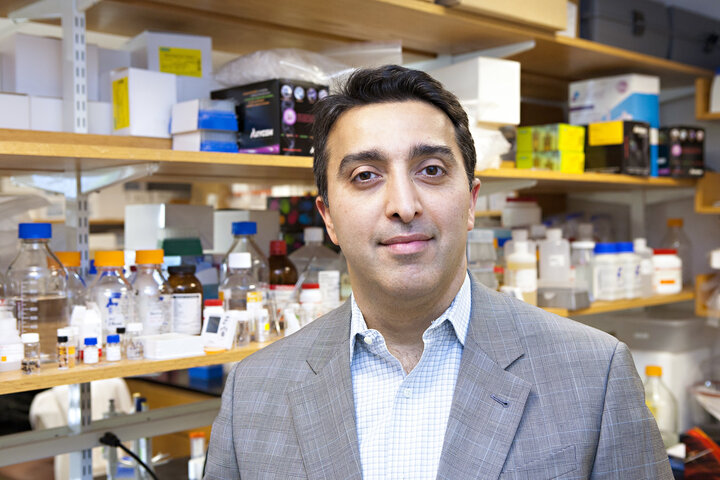 پروفسور«امید فرخزاد»تولیدکننده اولین نانوداروی هوشمندسلول سرطانی