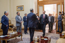 دیدار وزیر خارجه با دبیر شورای امنیت ملی ارمنستان