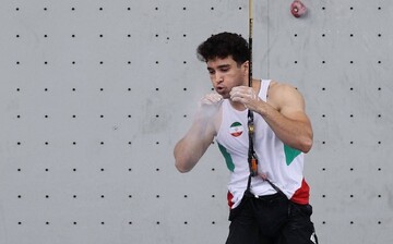 Iranian speed climber wins gold medal in Asian Climbing Cup