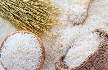 ۱۱ هزار تن برنج در مازندران خرید توافقی شد