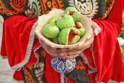 Fig festival in NW Iran