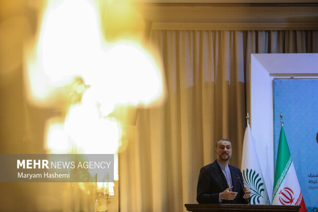حسین امیر عبدالهیان وزیر امور خارجه ایران در حال سخنرانی درکنفرانس وحدت اسلامی است 