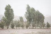 وزش باد شدید همراه با گرد و غبار استان زنجان را فرا می‌گیرد