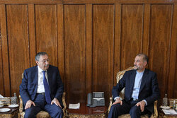 Amir-Abdollahian meets Azeri president's representative