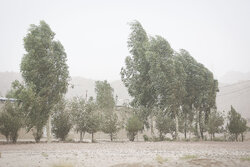 پیش‌بینی وقوع غبار صبحگاهی در خوزستان
